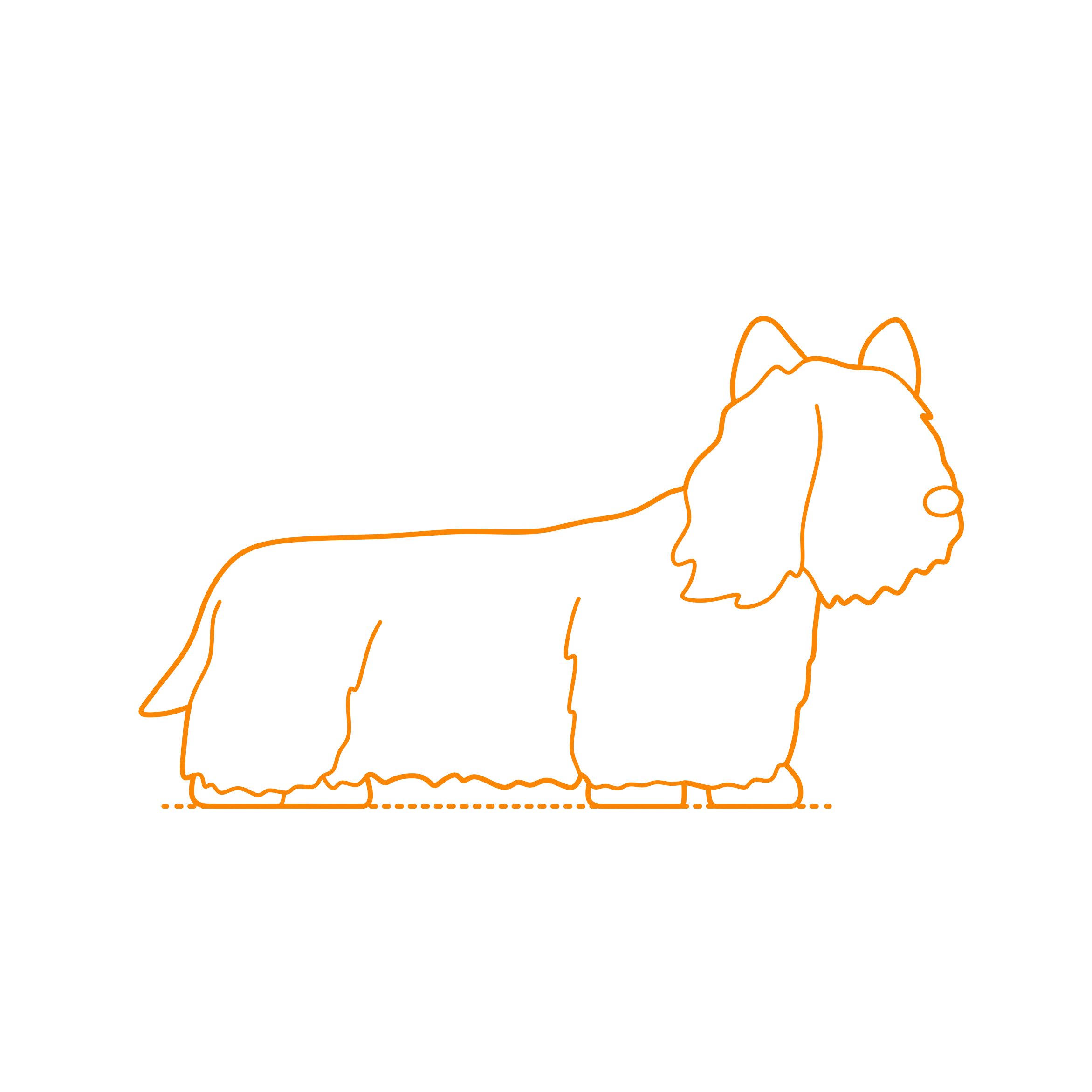 Animals Dogs Skye Terrier Tracing Svg Vector Free Vectors